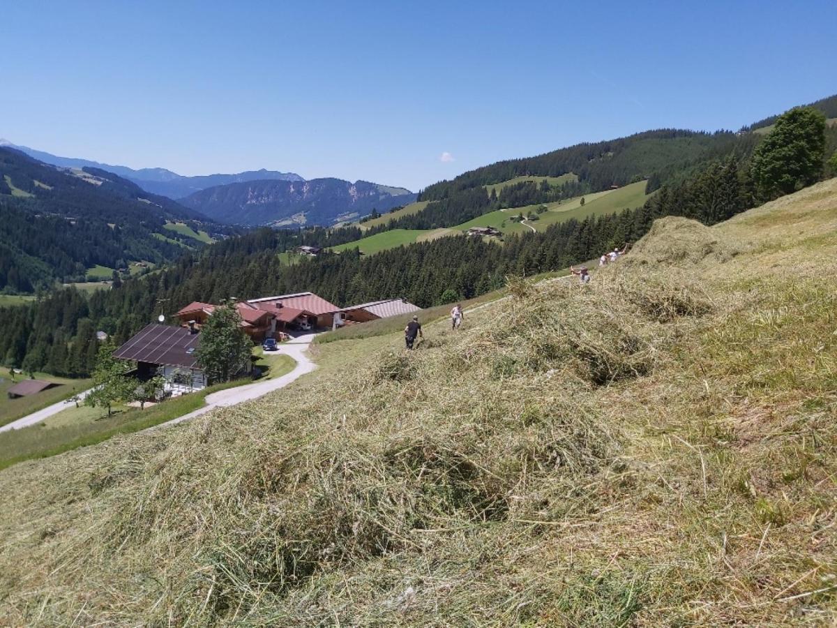 Praedastenhof Auffach Exterior foto